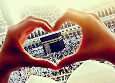 Esraamahmoud_19's tweet photo. اللهم اني أشتهي سجدة في أرض مكة فاكتبها لي ولكل من يشتهيها
اللهم اجعل اخر اعمالنا سجدة ف ارض مكة❤ https://t.co/9x8PEucSDS