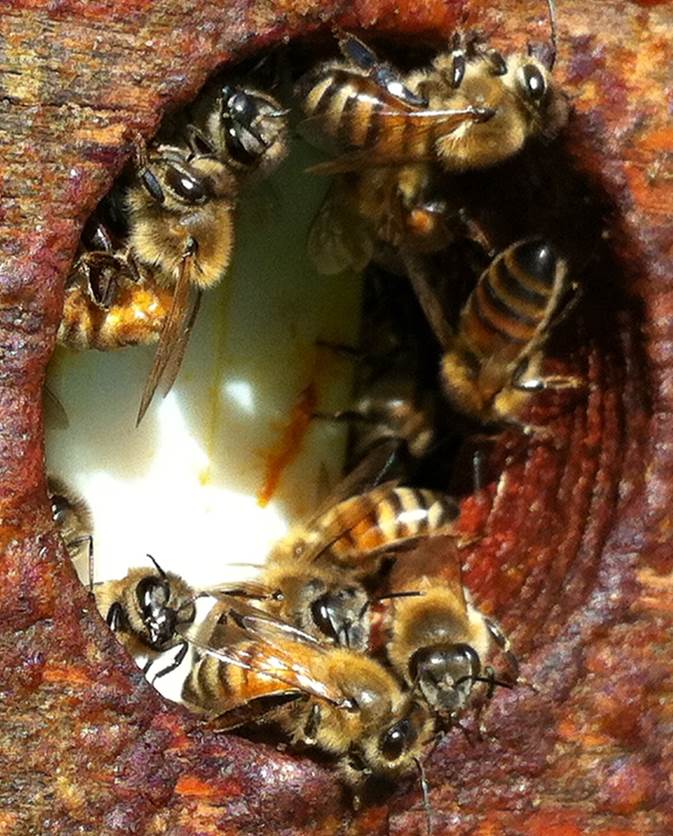 Thomas Schaer tweet media