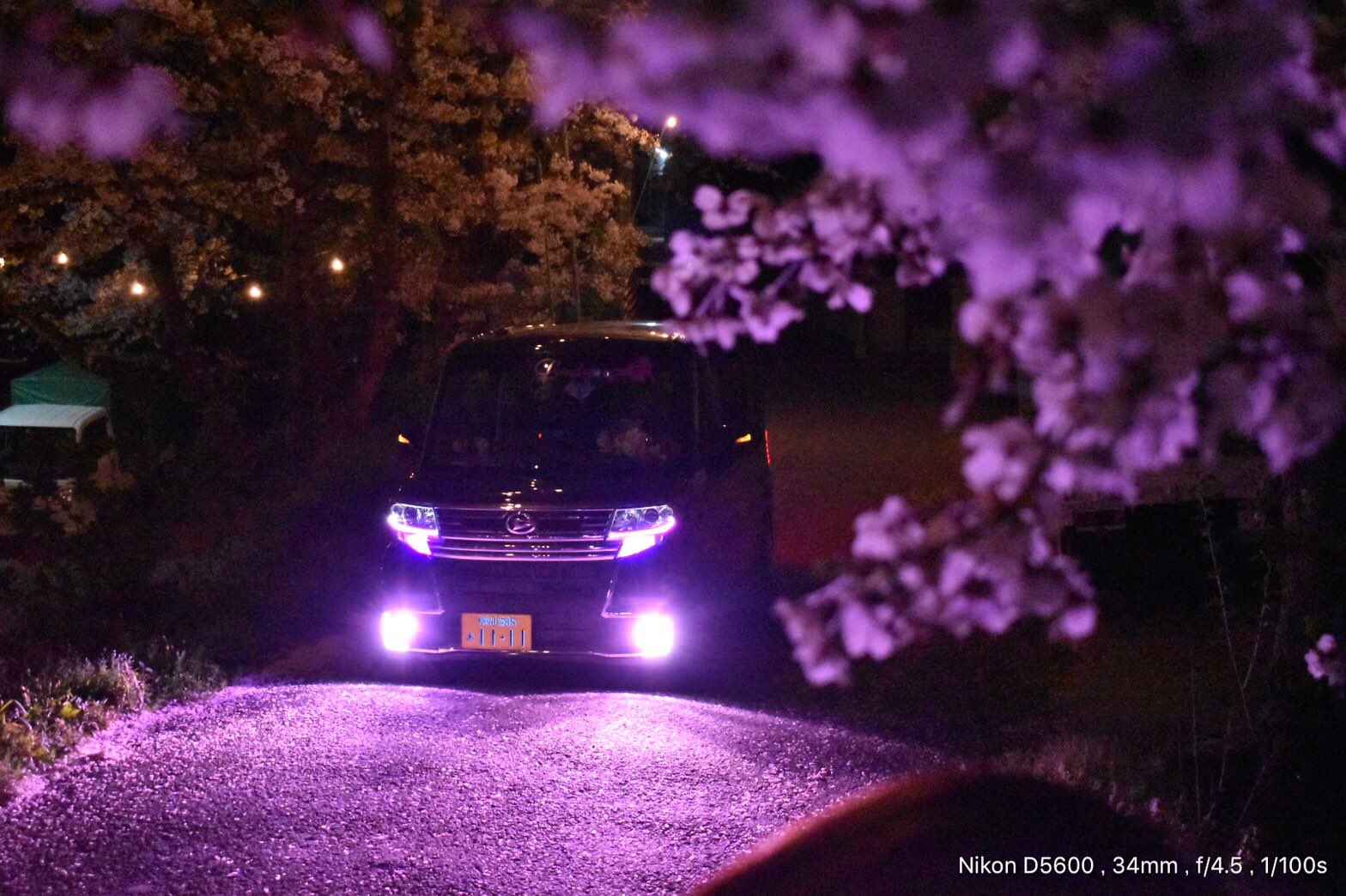 新登場30000lm!!HB4用 ピンクパープルフォグランプ！当店限定色！ 新