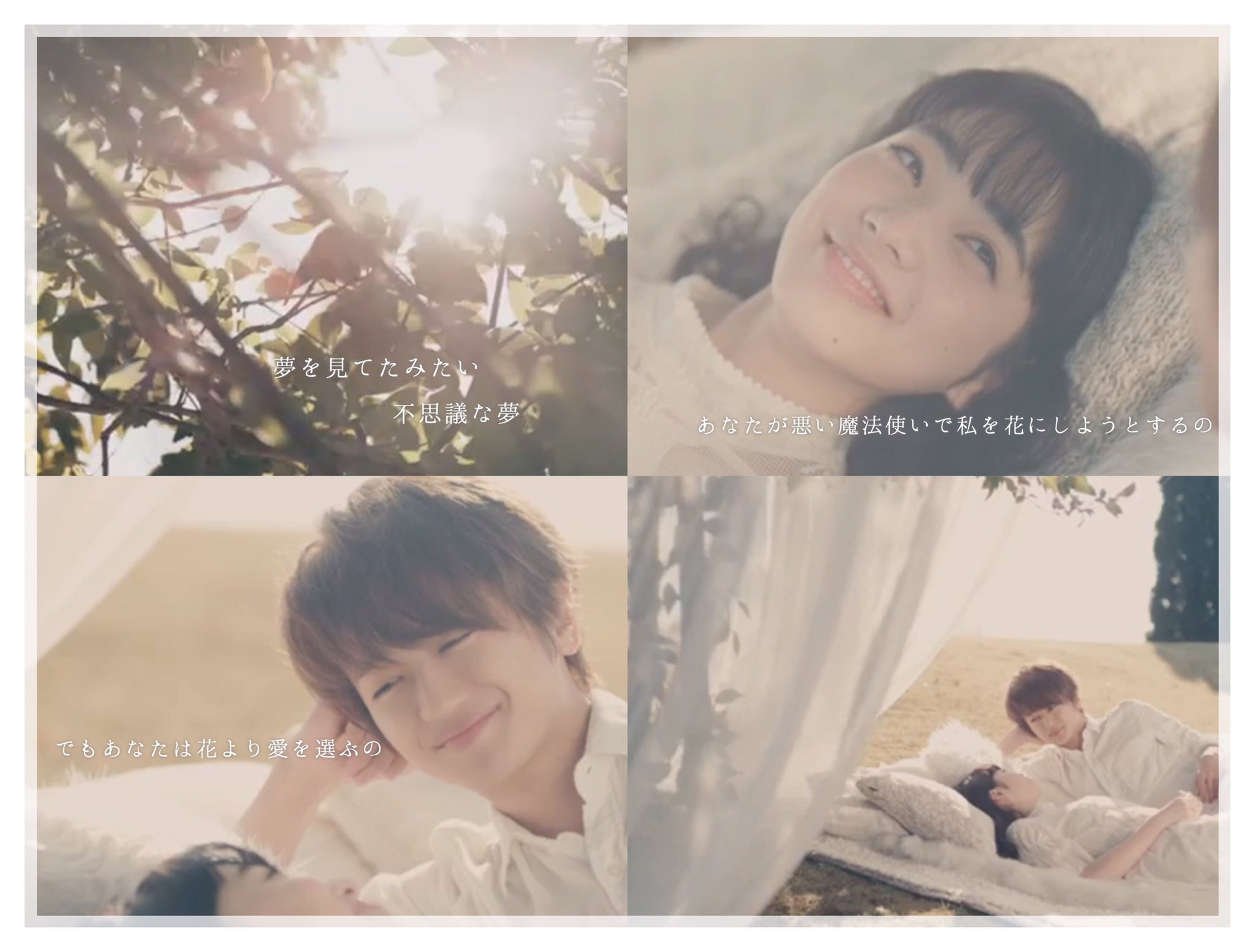 Twitter 上的y U R A 花cherie Ma Cherie 永遠という名の花 花cherie Macherie 西島隆弘 小松菜奈 Yura Album T Co Jsuo5ixzho Twitter
