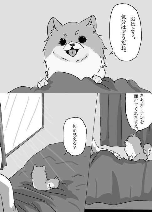 Togetter公式 人気のツイートまとめを紹介 Togetter Jp Twilog