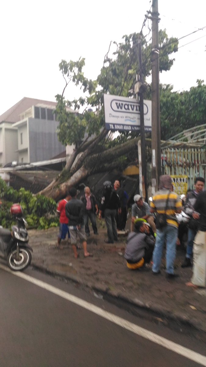 BasdaJabar's tweet photo. Pohon yang tumbang di jalan talaga bodas #infoBDG https://t.co/rKb69w9R5M