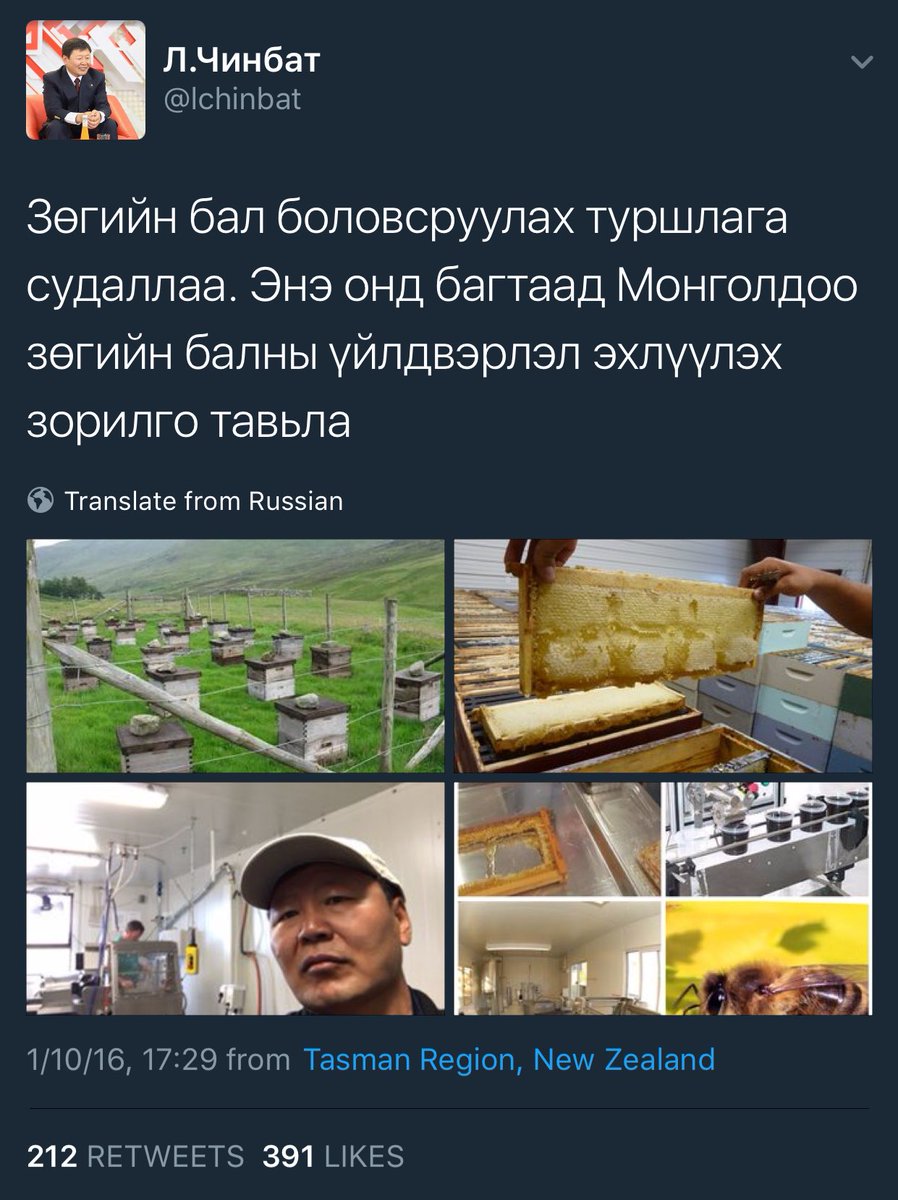 Монголынхоо зөгийчидтэй хамтран хөдөө нутгийн зэрлэг цэцгийн зөгийн балаа шинэхэн үйлдвэрийнхээ шугамаар савлаж эхэллээ. Амтлаад үзээрэй 🐝👍🏽
