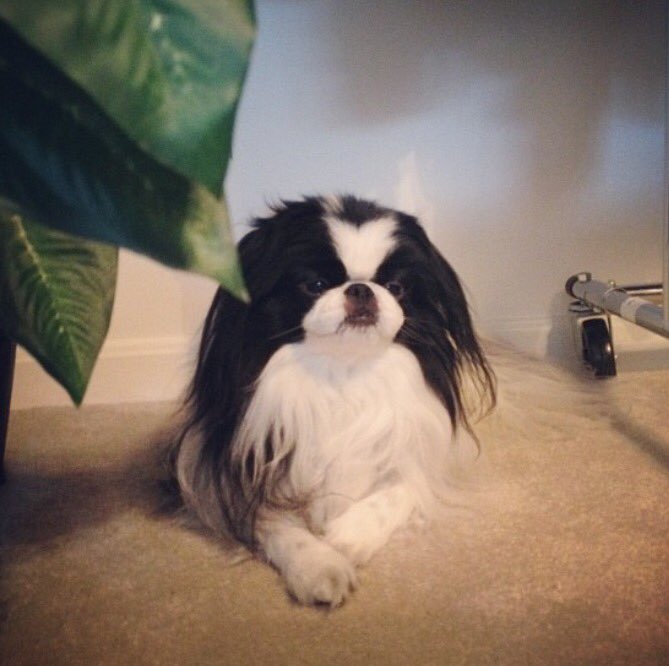 JMaz64's tweet image. 