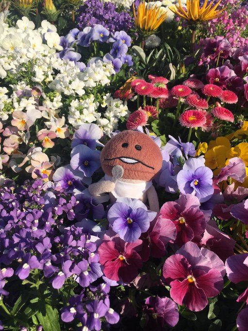 お花畑 高画質 のtwitterイラスト検索結果 古い順 お花畑 高画質 のtwitterイラスト検索結果 古い順