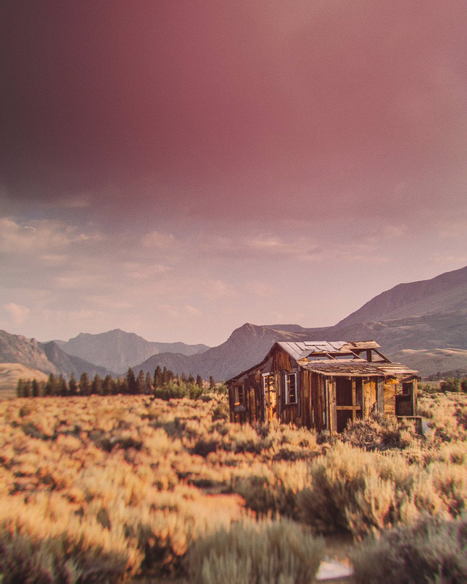 brainfevermedia's tweet image. Glass Tilt Shift App dropped last week, excited to get it in your hands!Download here: appsto.re/us/FEK1gb.i