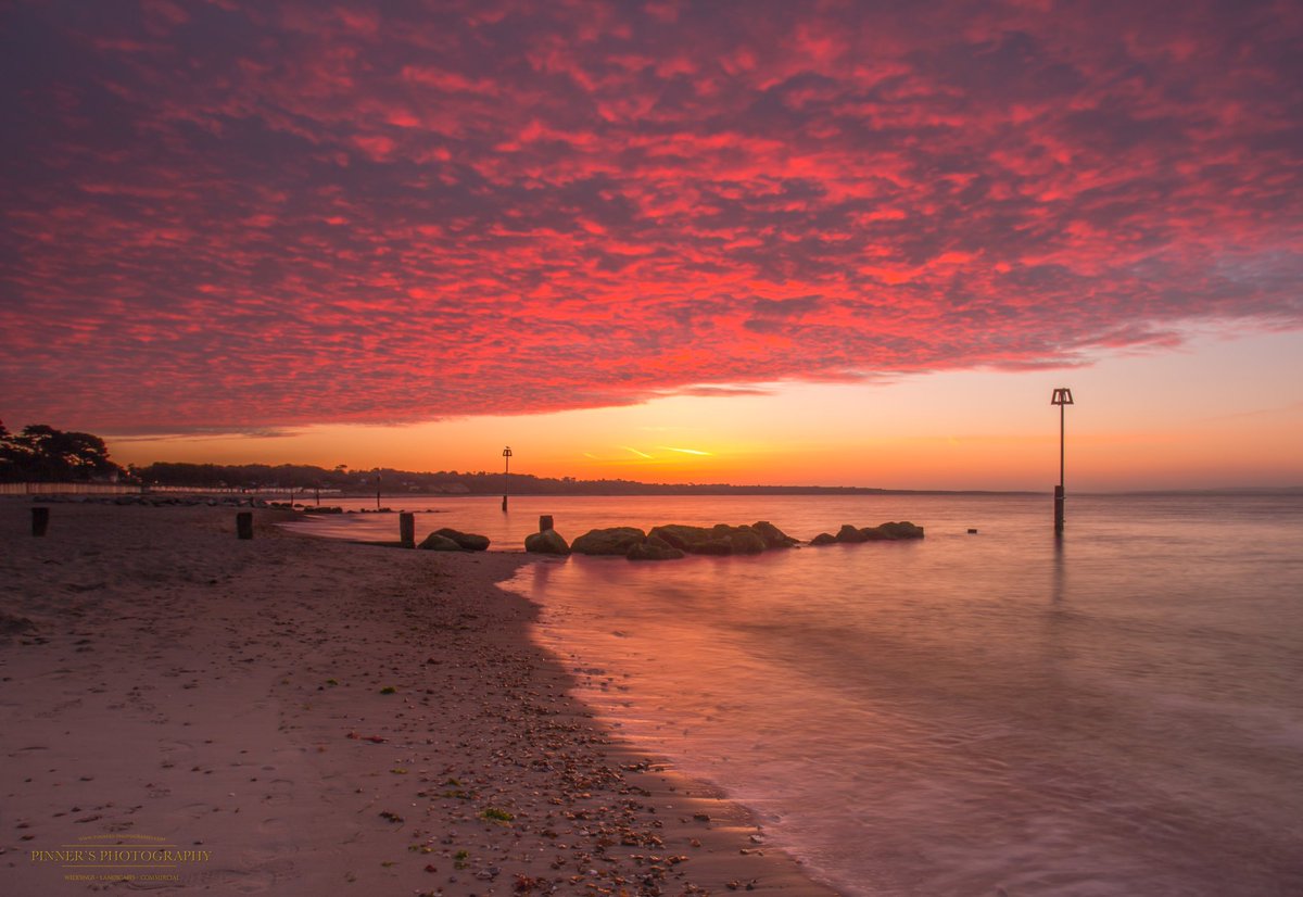 The Christchurch Industry (ThexchuIndustry) Twitter