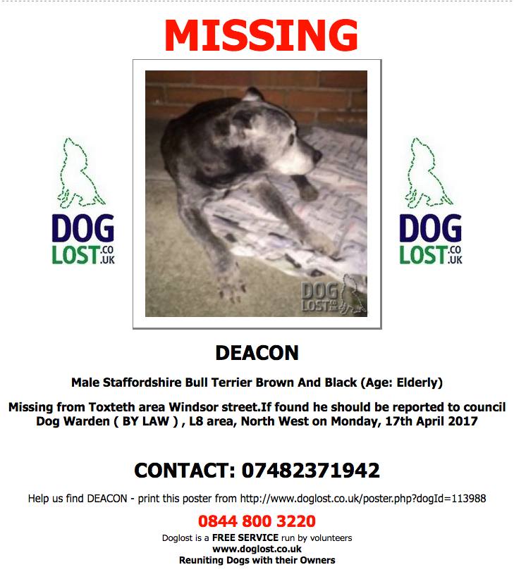HunnyJax's tweet photo. Sighted 18/4 &amp; reported as Limping ☹️PLEEZ RT
...https://t.co/d1tAv0qGrJ … …
#Staffie ELDERLY #Missing #Toxteth area https://t.co/liCztEtJRe https://t.co/R1pRW8M0kE