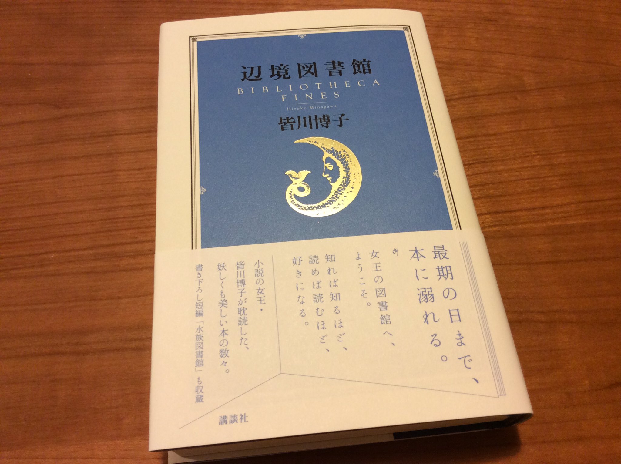 皆川博子館長『辺境図書館』 / X