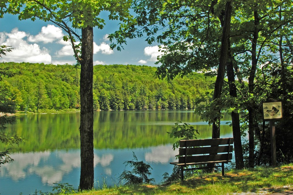 Vermont State Parks On Twitter Park Of The Day Half Moon Pond