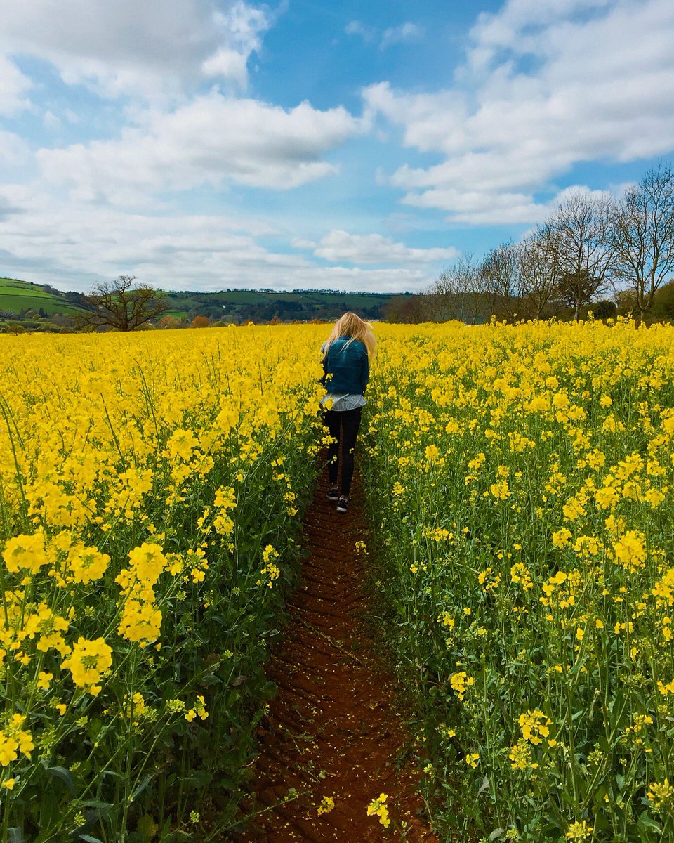Handleyfarm's tweet photo. We hope everyone had a great bank holiday also!😁🌼#farmlife #farmstay #springishere #countryside #countryretreat #spring #escapetothecountry https://t.co/3lQtW6jtYX