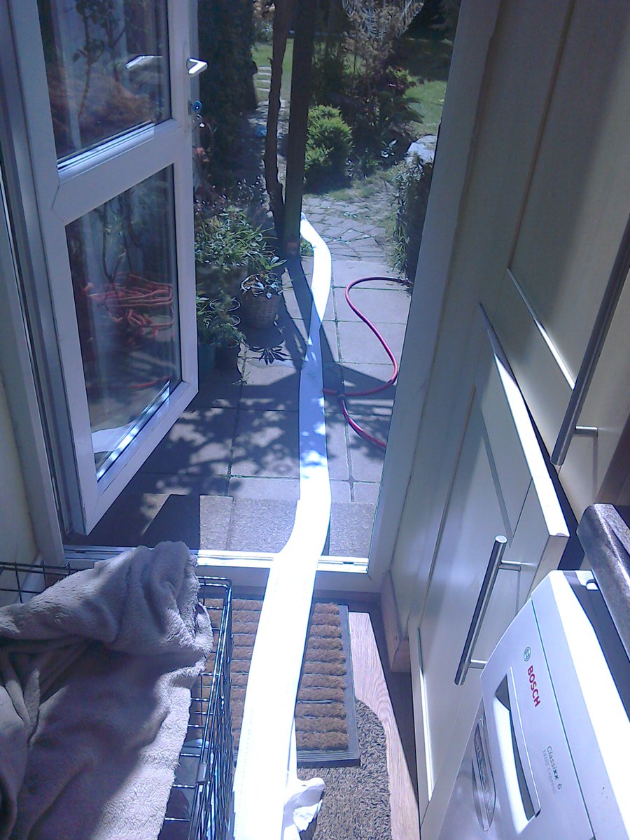 annarpearman's tweet photo. Home alone with the dog for a day and she's emptied the bin, torn a few kitchen cloths and now she's done this..I can't do this adult life. https://t.co/d37kujorIB