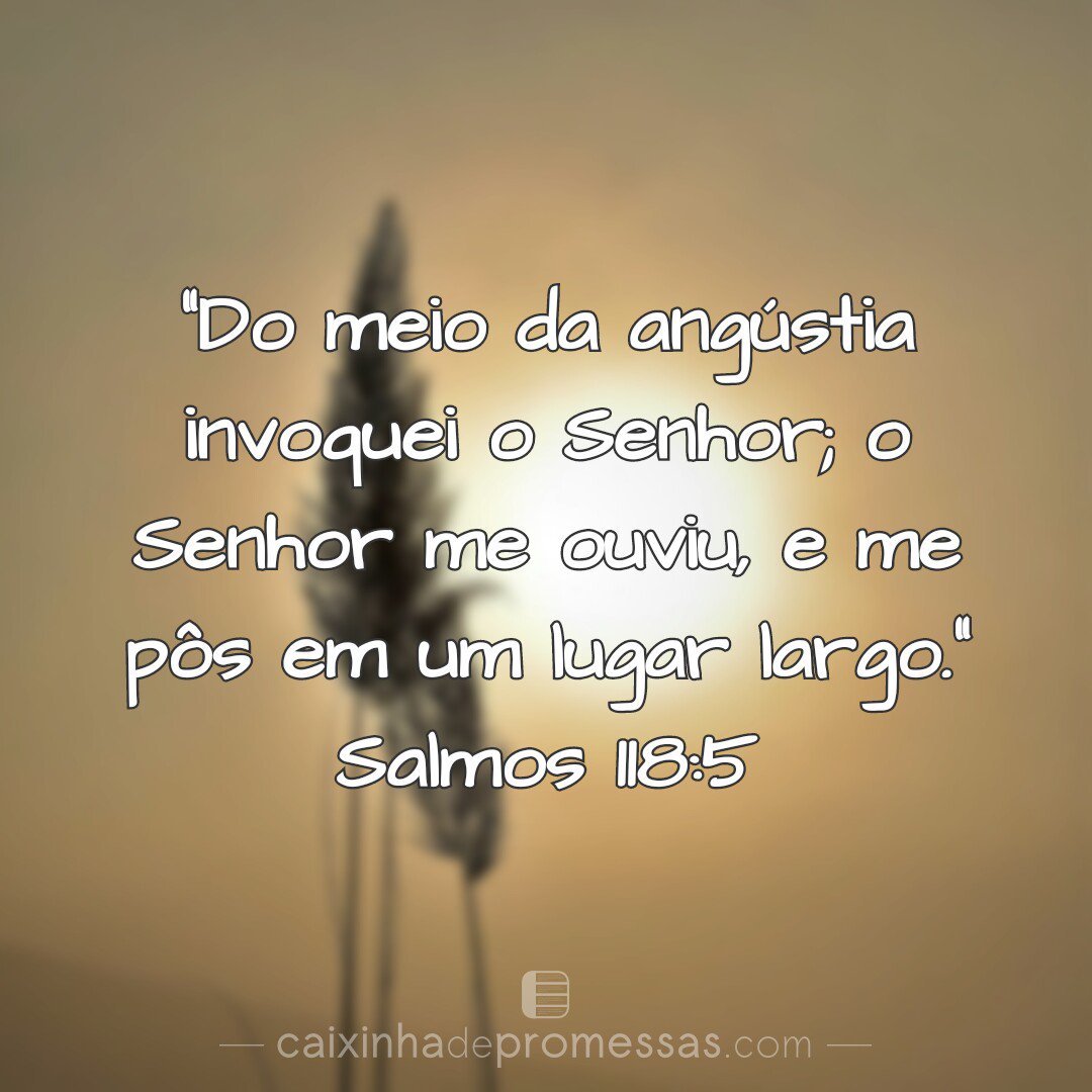 Bom dia...
#CaixinhaDePromessas