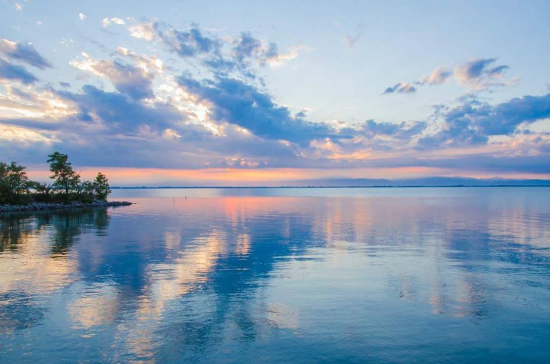 LilloSandri's tweet photo. Saluti da LunaBluParking! #LunaBluParking #Lignano #Sabbiadoro #lagoon #green #smart https://t.co/tXfCBDwSyL