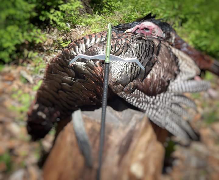 Dead Ringer tweet media