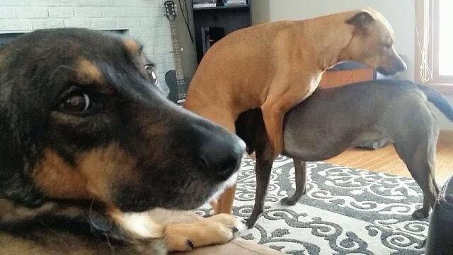 GeorgeUnda's tweet photo. Friend:  "How's the house party? Are people still there?"
Me: https://t.co/567g6otCk5