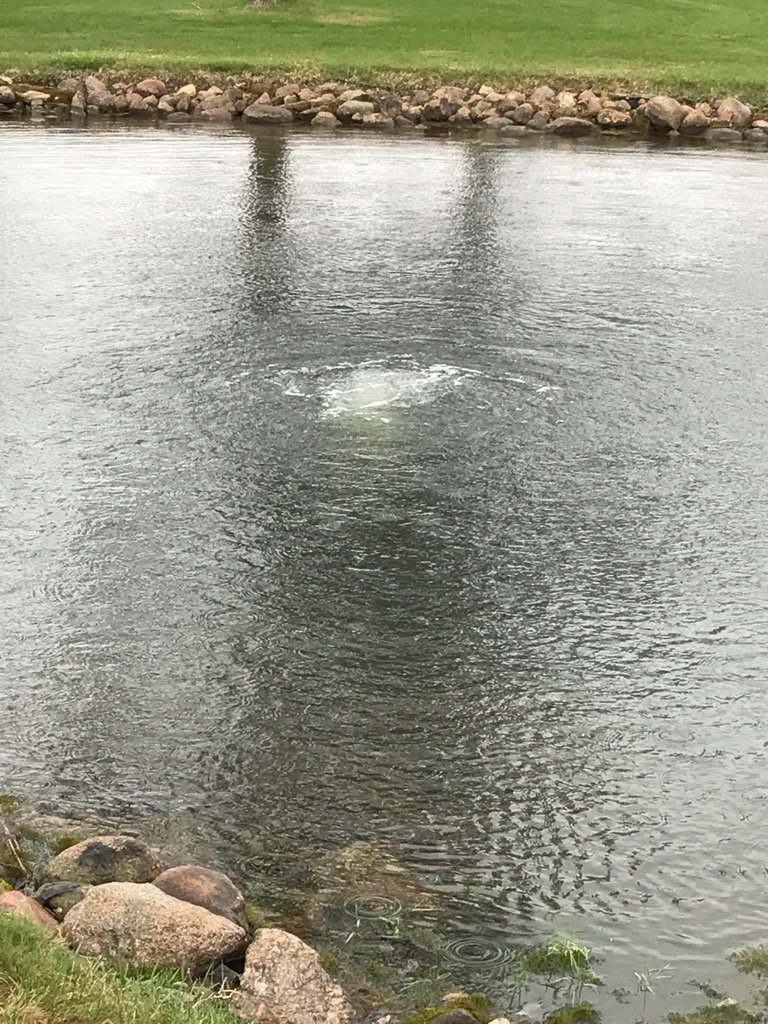 BrookingsCC's tweet image. New BCC pond aerator at work. #algaeprevention