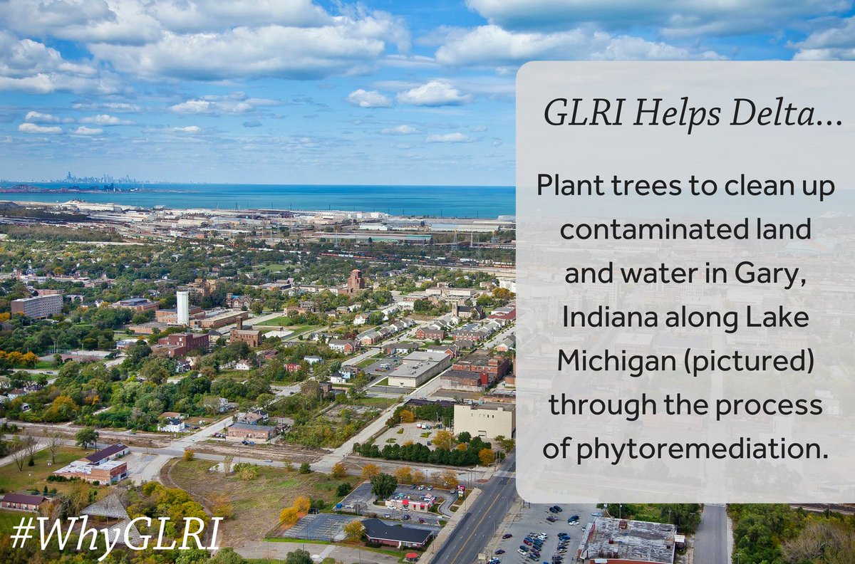 DeltaGreatLakes's tweet photo. The #GreatLakes need @EPA Great Lakes Restoration Initiative funding for projects like phytoremediation in Gary. #WriteYourRep #WhyGLRI https://t.co/e3zvYU8ZCX