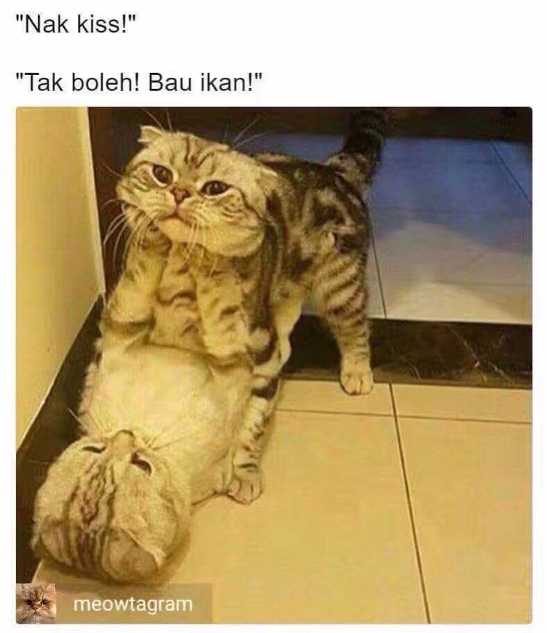 😂