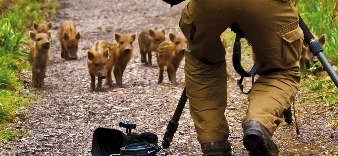 A #photographers paradise - landscapes, nature, activity, sculpture - so many opportunities for great #photos bit.ly/ForestBarns