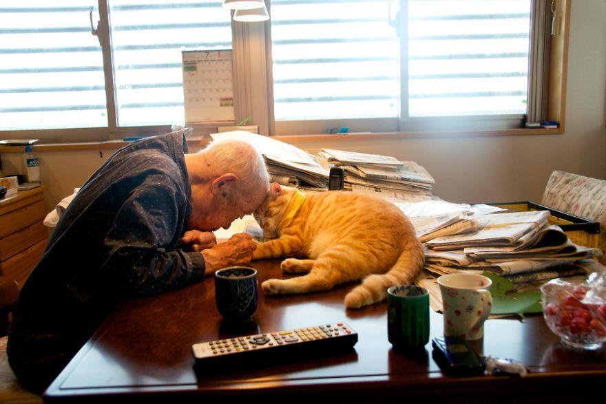 hometrak's tweet photo. RT @rightathomeUS: The Special Bond Between A Grandpa And His Cat https://t.co/xH2l2W62ty #Alzheimers https://t.co/gnvqBWLjf2