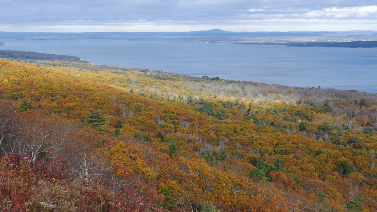 Ocean Frontiers Film tweet media