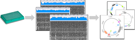 Addgene's tweet photo. Learn about the #NGS sequencing platform that powers our new plasmid validation process from #seqWell https://t.co/bpXOKXqqJ5 https://t.co/4gCNNQE7Ia