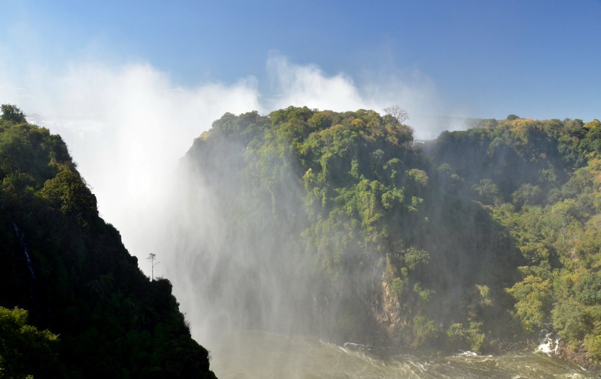 tvicfallshotel's tweet photo. #Nature teaches us more that we can ever learn from the books #VictoriaFalls  #TheVictoriaFallsHotel https://t.co/IVGyojZc6M