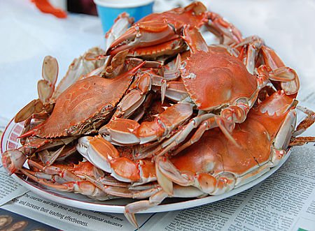 Scientific Survey Shows Promising Blue Crab Stock Abundance with Boost to Adult Females: read release at mrc.virginia.gov