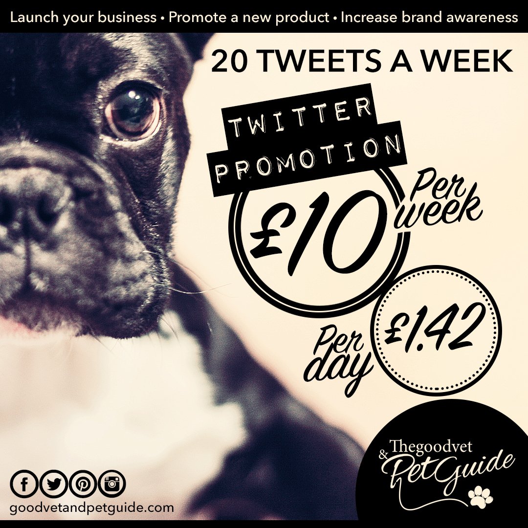 Last week we engaged with 2,598,374 #dogfriendly peeps on Twitter 
Have us in your corner 7 days a week for just £10
#woofwoofwednesday