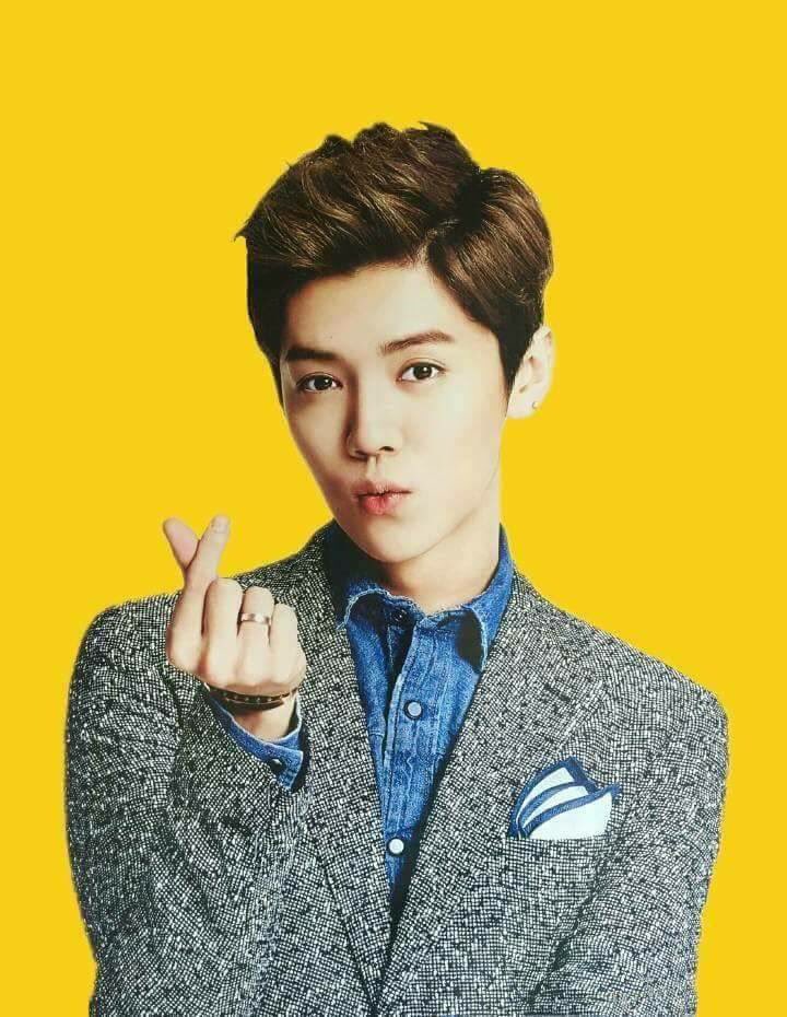 HAPPY BIRTHDAY TO MY SEHUNNIE\S FIRST LOVE, ( ) THE ONE AND ONLY LU HAN  