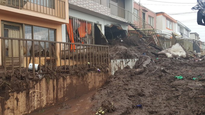 Ver imagen en Twitter