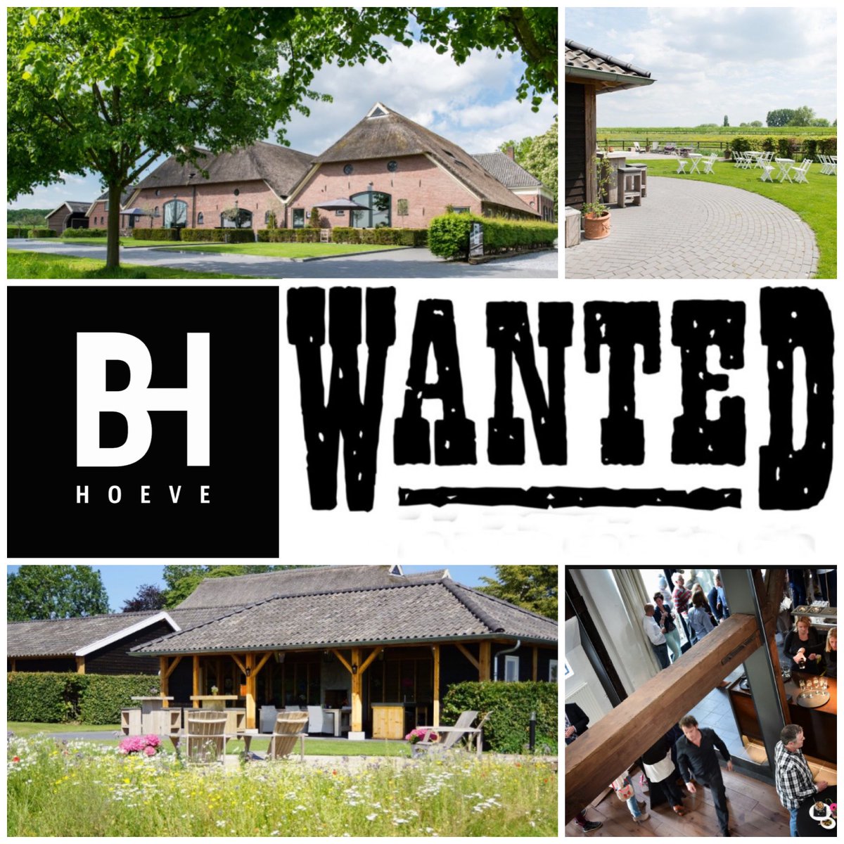 Ik ben op zoek naar jou! Een #Marketing Kanjer met de juiste skills
#Freelance basis
Geïnteresseerd? info@bronckhorsthoeve.nl