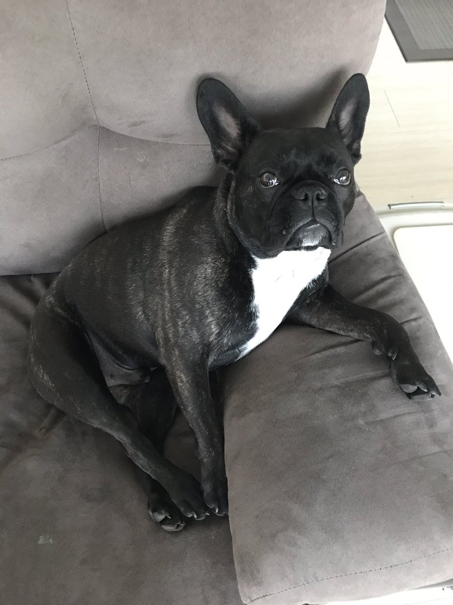 brucebenin's tweet photo. "How may I assist you?" https://t.co/AfYaC965It