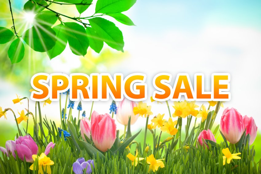 Today's FREE Spring Sale app is Sight Words itunes.apple.com/us/app/sight-w… #SLP #slpeeps