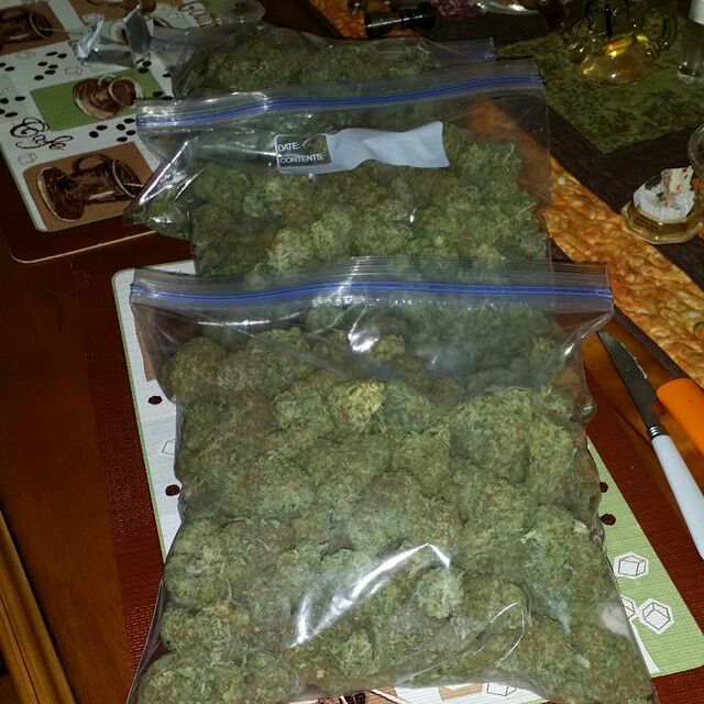 Who needs a dropoff of some girls scout? Where you at!