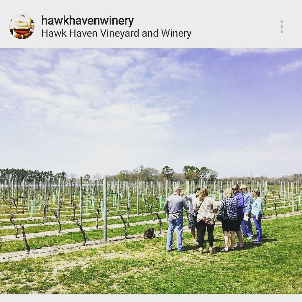 All over the region, #BudBreak is happening in the vineyards. Map out your wine trail &amp; take a look at all the vin… ift.tt/2pBWRvc