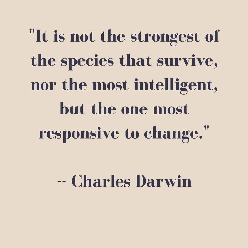 fancynonsense's tweet photo. https://t.co/Wx4QfV8a7Q https://t.co/ncxCSXw55z