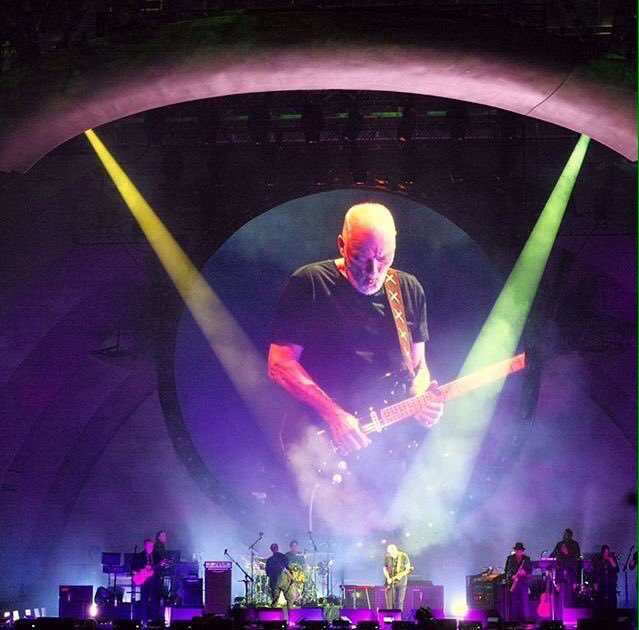 Pink Floyd - Steve®™💎 tweet media