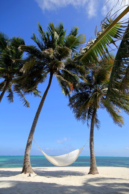 TQueenStudio's tweet image. The Beach is calling my name! queenstudio.net/2017/04/19/the…