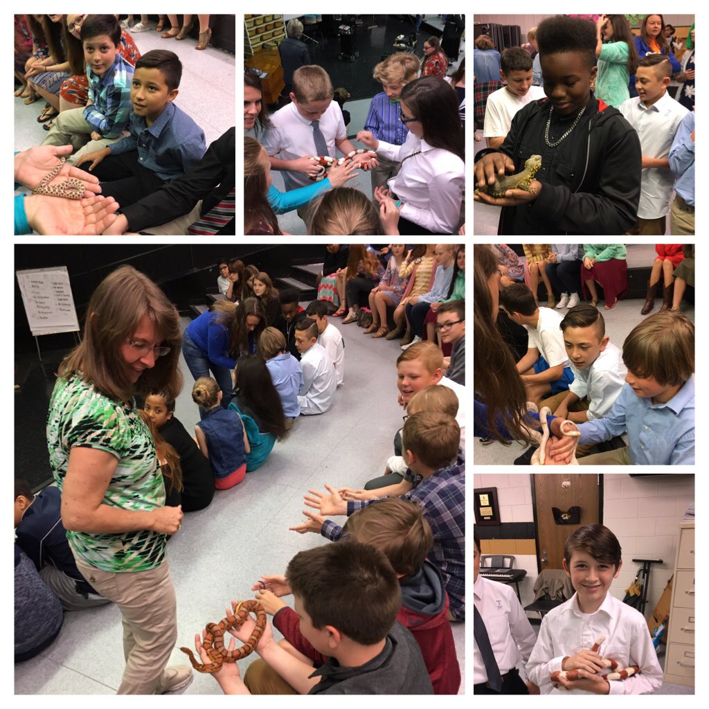SouthernAMiddle's tweet photo. Exciting day for 6th gr Ss. Snake man came for a visit! #samstigerpride https://t.co/XWfCcRd2Jw