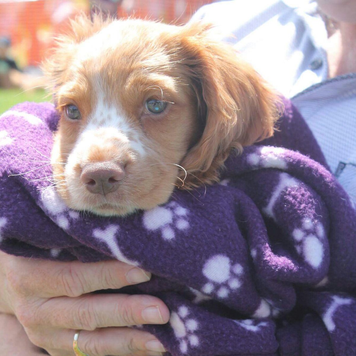 <a href="/ww_legal/">Wilkinson Woodward Solicitors</a> it's our Poochfest this Saturday at Stainland Recreational Park! Can't wait to see all those doggies enjoying our festival vibe!!!