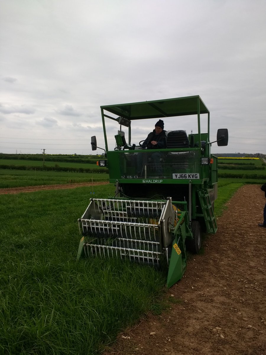 Richard Grayson (@rggeo) on Twitter photo Our new grass harvester making its first cuts in our MycoRhizaSoil ley <a href="/WRSusAg/">White Rose Sus. Ag.</a> <a href="/wateratleeds/">water@leeds</a> <a href="/rbpmleeds/">River Basins - Leeds</a> <a href="/Soil_Security/">Soil Security Team</a> Our new grass harvester making its first cuts in our MycoRhizaSoil ley <a href="/WRSusAg/">White Rose Sus. Ag.</a> <a href="/wateratleeds/">water@leeds</a> <a href="/rbpmleeds/">River Basins - Leeds</a> <a href="/Soil_Security/">Soil Security Team</a>