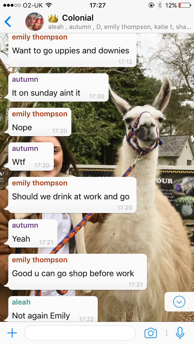 sarrritchie's tweet photo. not again emily @Emilyythompson1 @autumn_mccombe @AleahBeattie https://t.co/VmBB85Nx9R