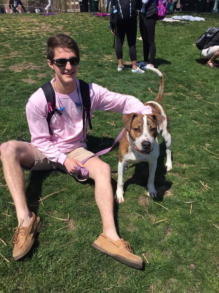 Sigma Pi MSU tweet media