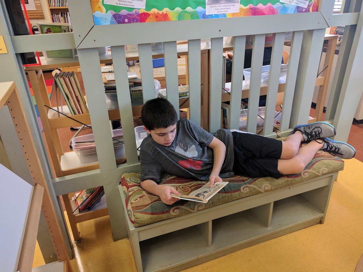 Lindsay O'Donnell tweet media