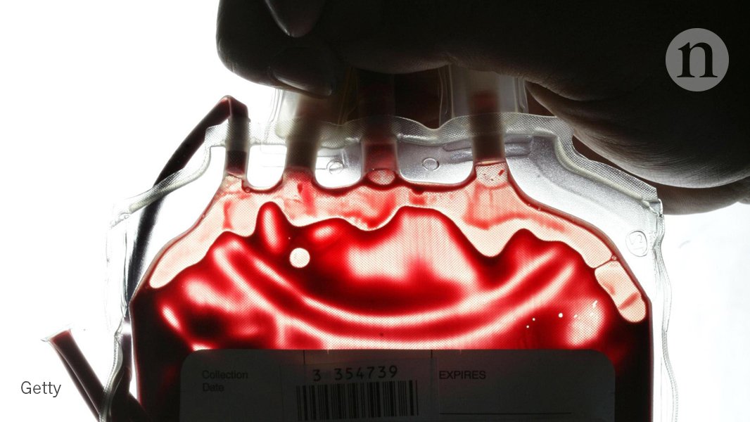 A protein found in young human blood has been shown to improve brain function in old mice for the first time: go.nature.com/2onqzAc