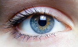 optMagazine's tweet photo. 5 Symptoms of #Glaucoma in Adults you Should Watch out for! https://t.co/fOVEcPrPXq https://t.co/Xp34oj1g2Y