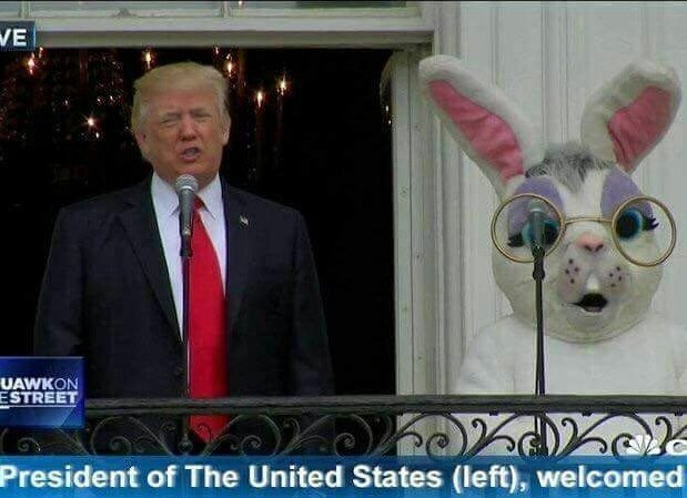 puppingplay's tweet photo. Obvious?  #lol #pictureoftheday @NEWS https://t.co/JElvmKtcF3