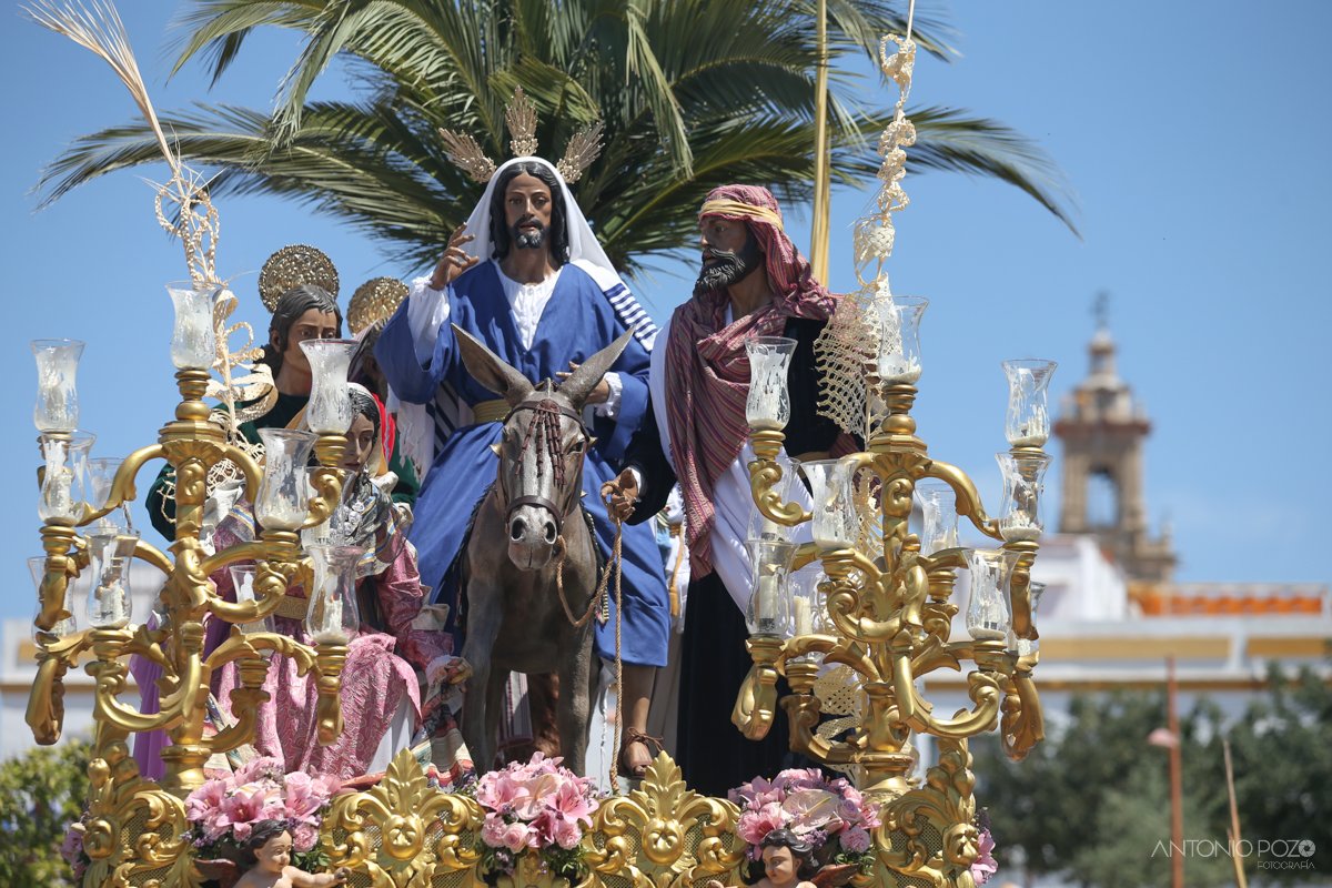 AntonioPozoFoto's tweet photo. Domingo de Ramos en imágenes #SSantaUtrera #TDSCofrade
📷https://t.co/bEtWS7YYFE https://t.co/McO0u5Ma95